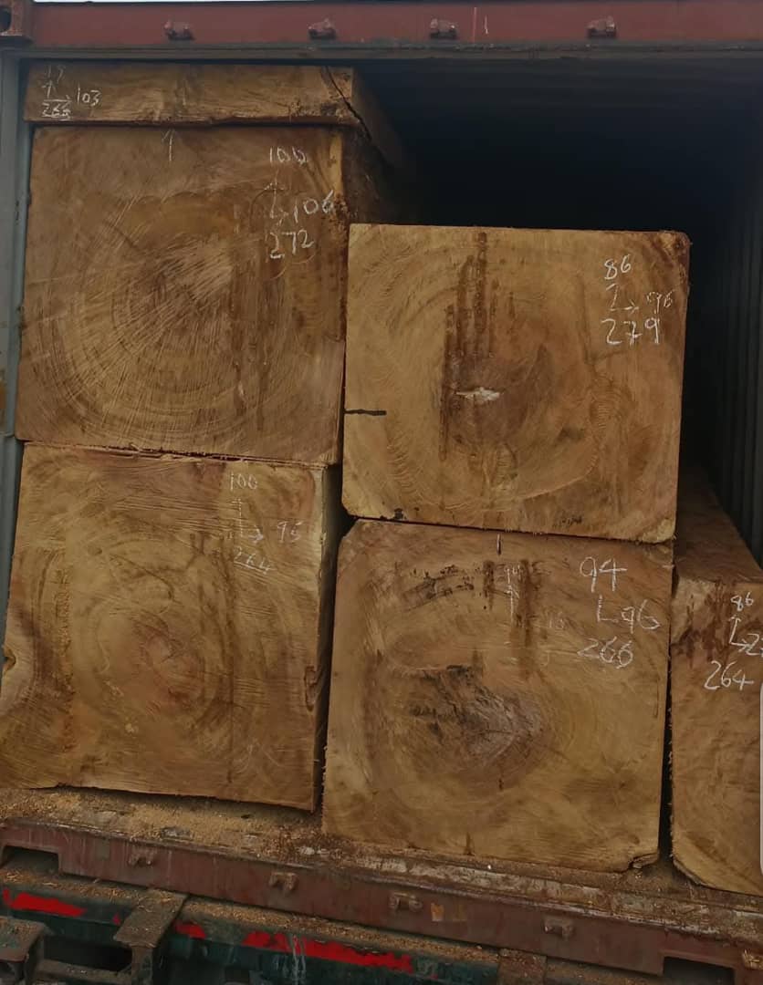 тврдо и меко дрво