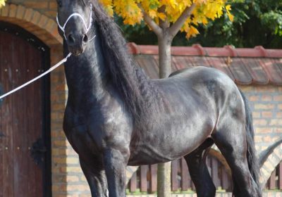 001-viber_slika_2025-01-16_16-13-22-676