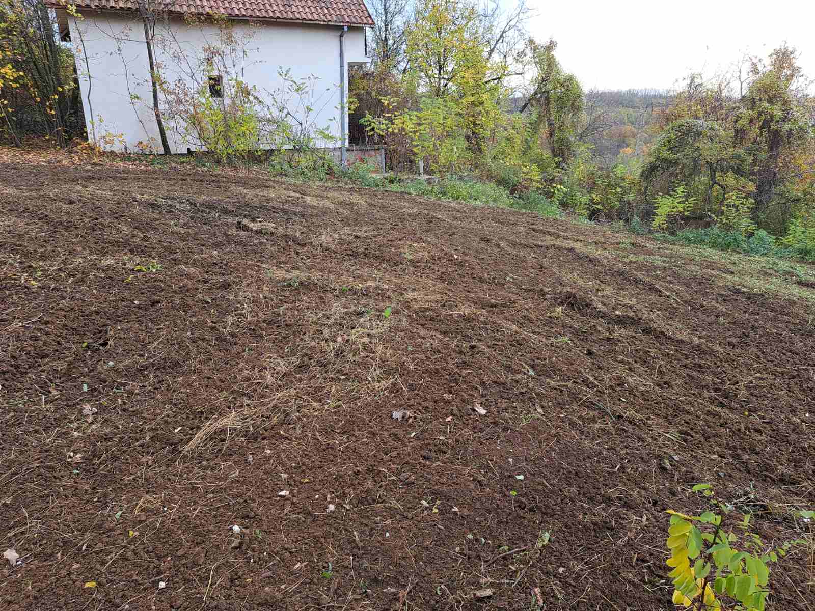 Usluzno freziranje i uredjenje dvorista