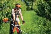 Košenje i redovno održavanje trimerom, dvorišta, placeva, vikendica, imanja kosimo i odrzavamo radimo motornim testerom Radim na teritoriji Kragujevca i okoline za vise informacija pozvati 0637661148