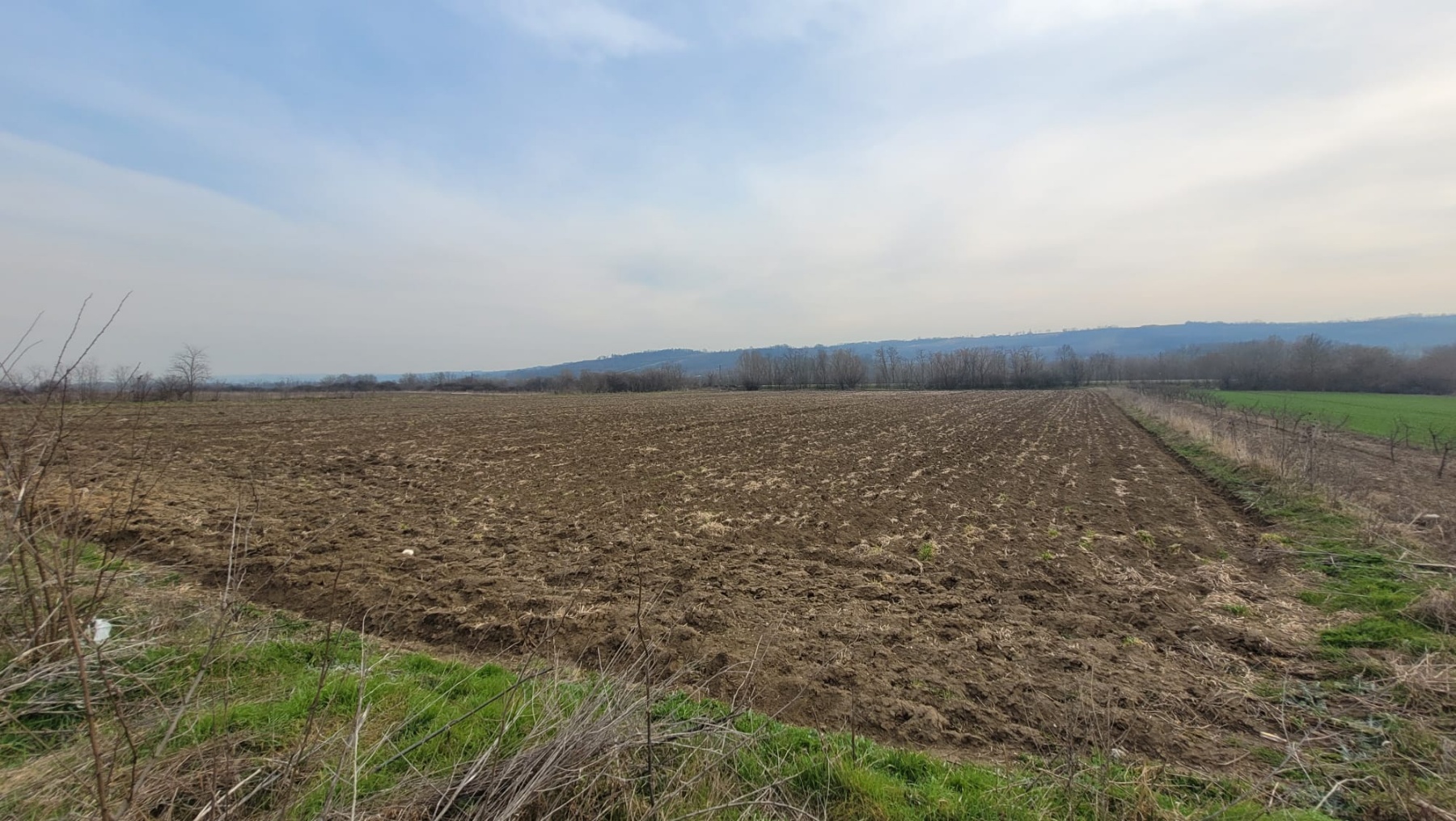 Parcela 1.8hektara (visokonaponska struja) ravna