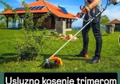 Screenshot_20260323-130152-3