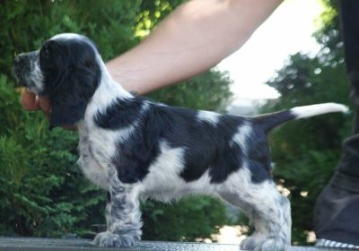 aviber_image_2026-03-04_07-29-00-943