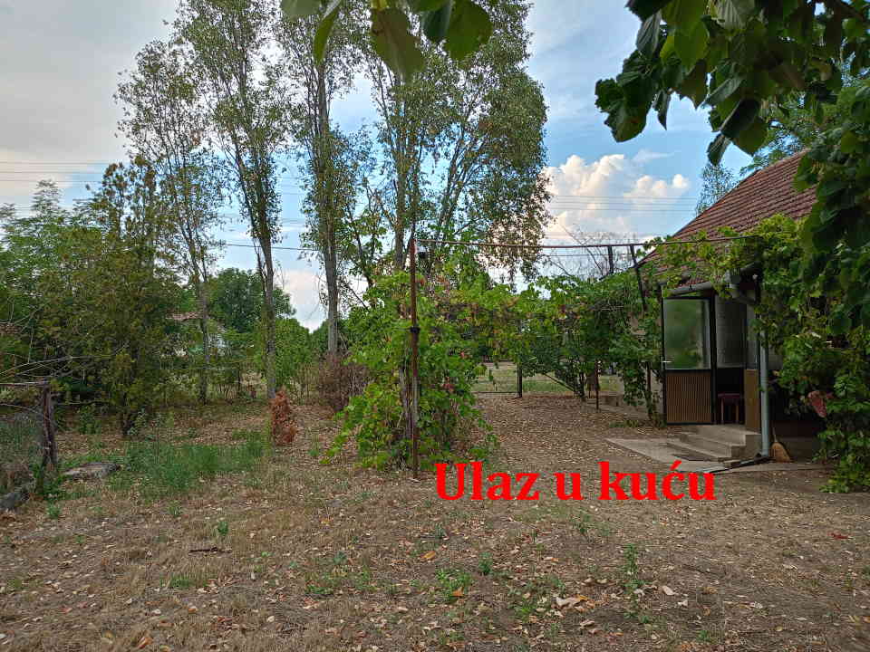 Prodaje se kuća/salaš u Hajdukovu na parceli od 3,5 jutra zemlje