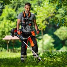 Košenje i redovno održavanje trimerom, dvorišta, placeva, vikendica, imanja kosimo i oduzavamo motornim testerom secenje Radim na teritoriji Kragujevca i okoline za vise informacija pozvati 0637661148