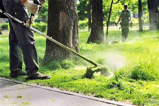 Uredite svoje dvorište bez muke! ✅ Košenje trimerom ✅ Uređenje zapuštenih placeva, vikendica , dvorista ✅ Vrsimo sve vrste kosenje trimerom Profesionalno, pedantno, brzo i efikasno za vise informacija pozvati 👇👇👇👇👇👇👇👇👇 📞 Kontakt: 0637661148