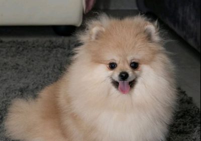 viber_image_2026-02-28_19-48-59-454