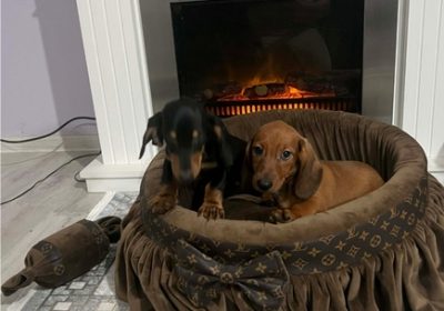 1IMG_20260404_151323