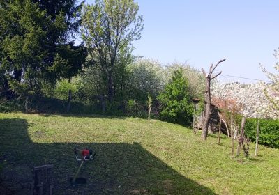 IMG_20260415_143137_673-1