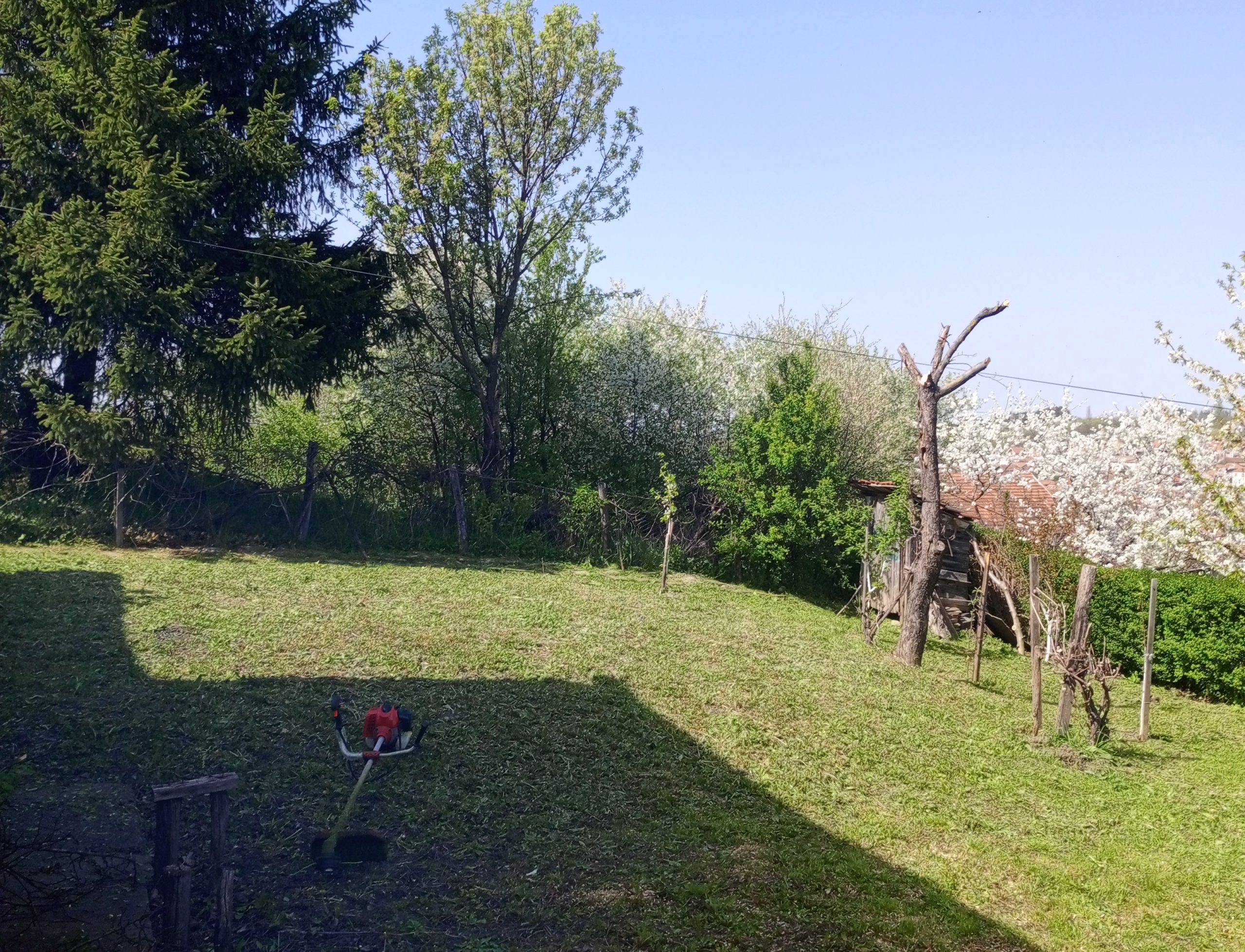 Košenje i redovno održavanje trimerom, dvorišta, placeva, vikendica, imanja kosimo Firme , radimo i motornom testerom secenje drva i grana . Radim na teritoriji Kragujevca i za vise informacija pozvati