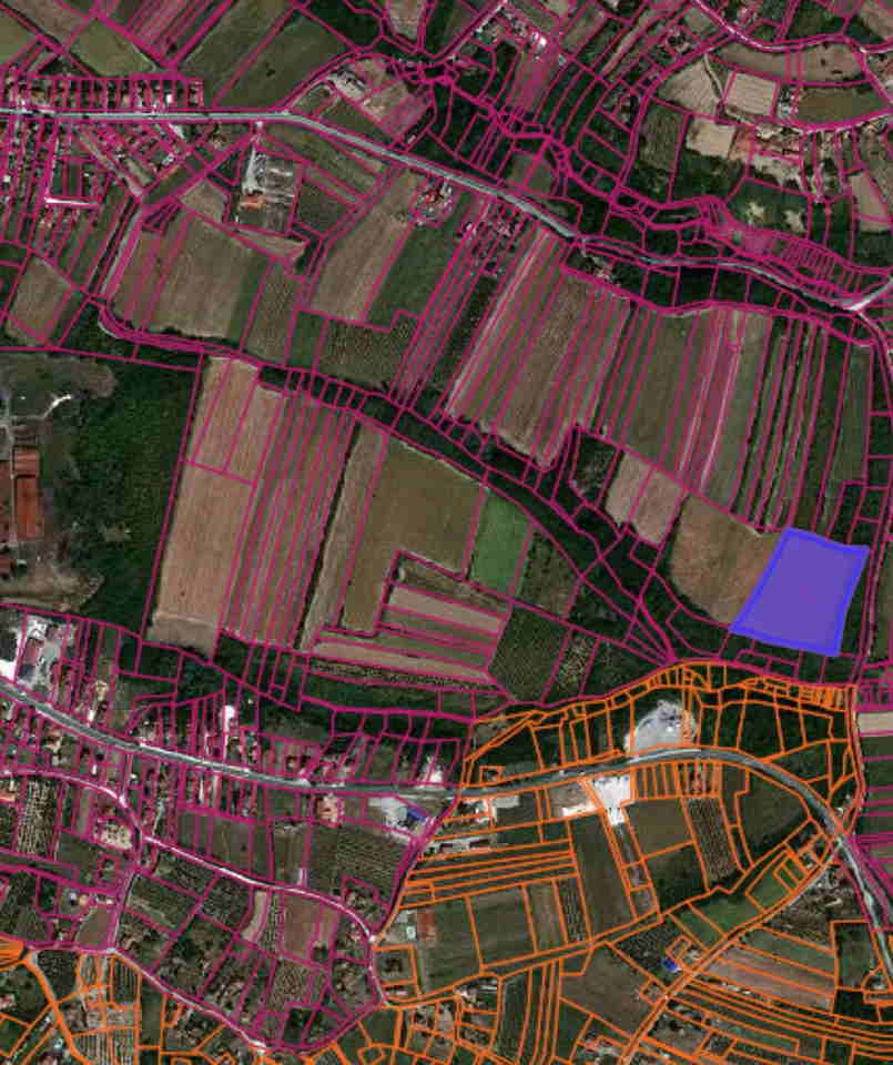 Na prodaju njiva u Topoli/Oplenac 1,5h i šuma u sklopu nji