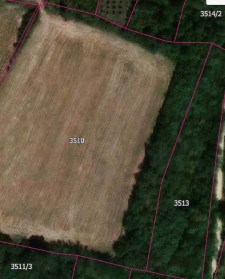 Na prodaju njiva u Topoli/Oplenac 1,5h i šuma u sklopu nji