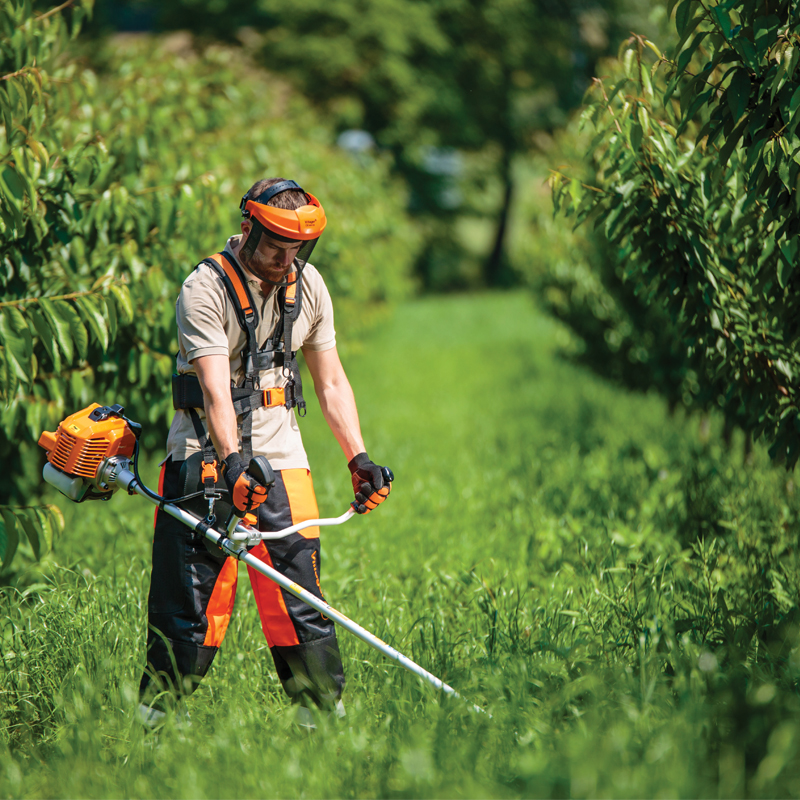 Kosenje i odrzavanje zelenih povrsina