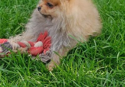 viber_image_2026-04-06_22-57-24-531