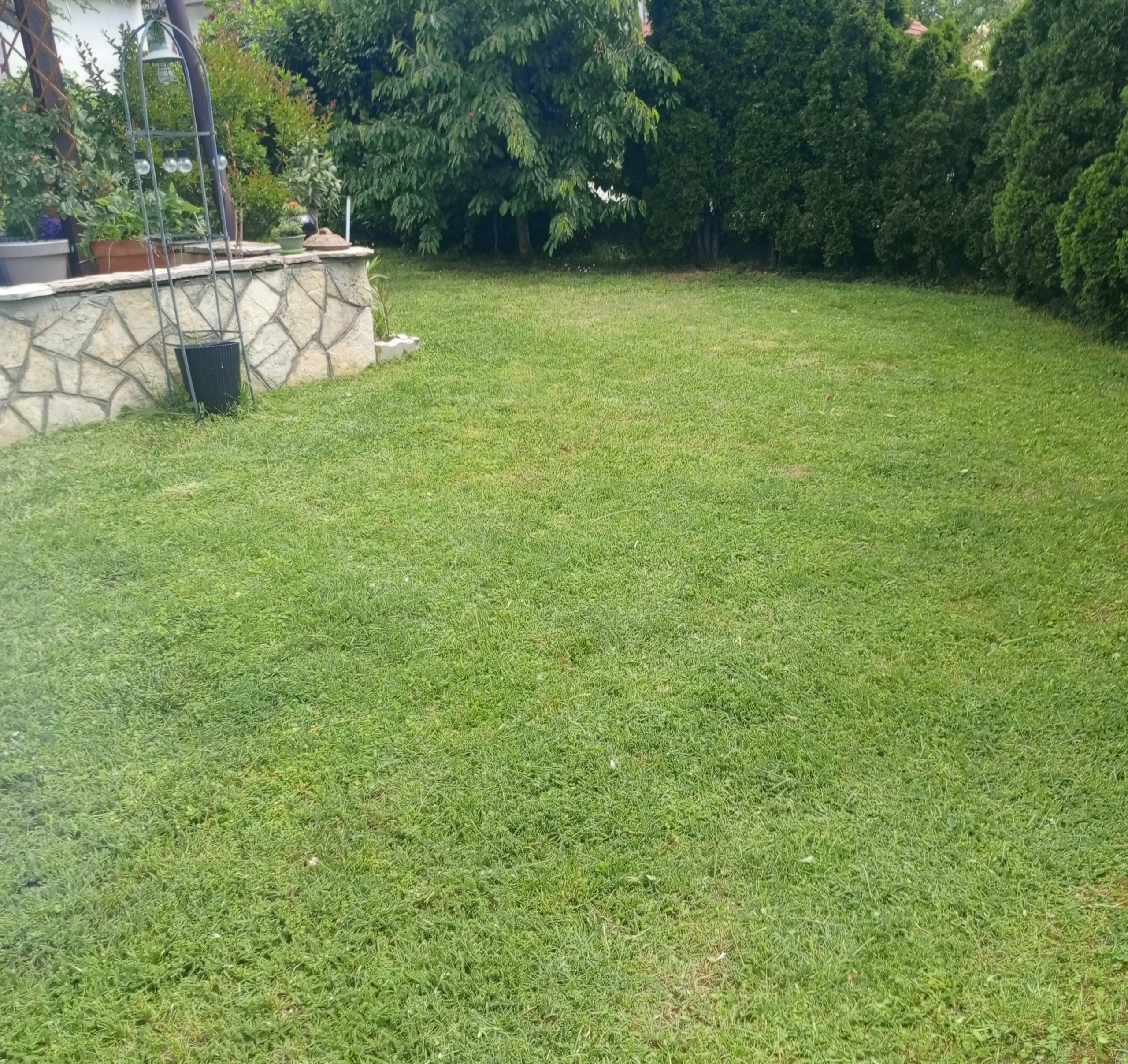 Košenje i redovno održavanje trimerom, dvorišta, placeva, vikendica, imanja kosimo Firme . Radim na teritoriji Kragujevca i za vise informacija pozvati 0637661148