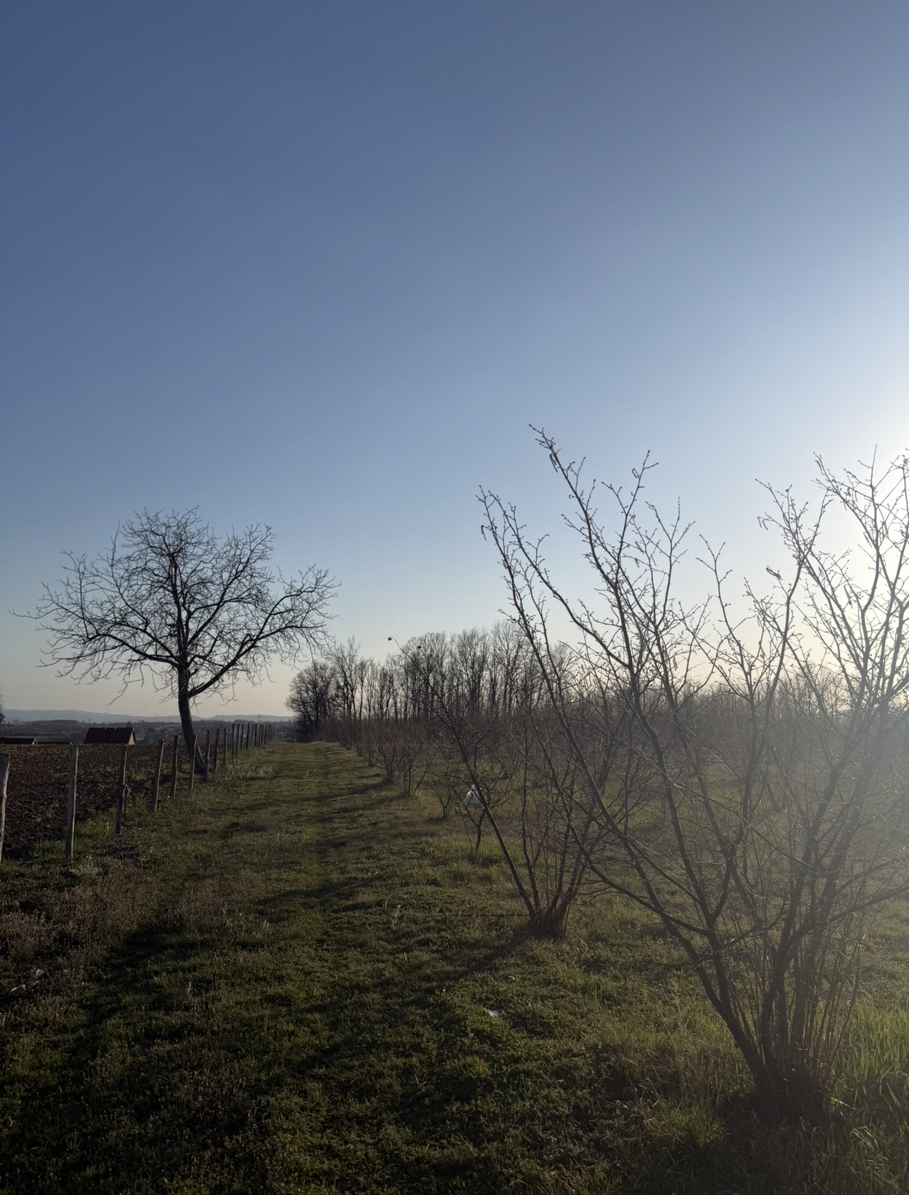 Prodaja njive
