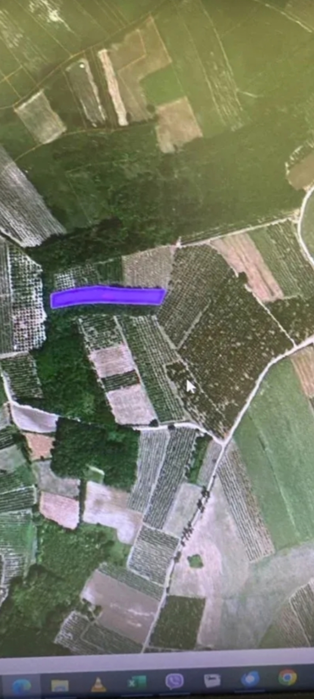 Poljoprivredno zemljište (šuma) 47 ari-Ovsište-Topola