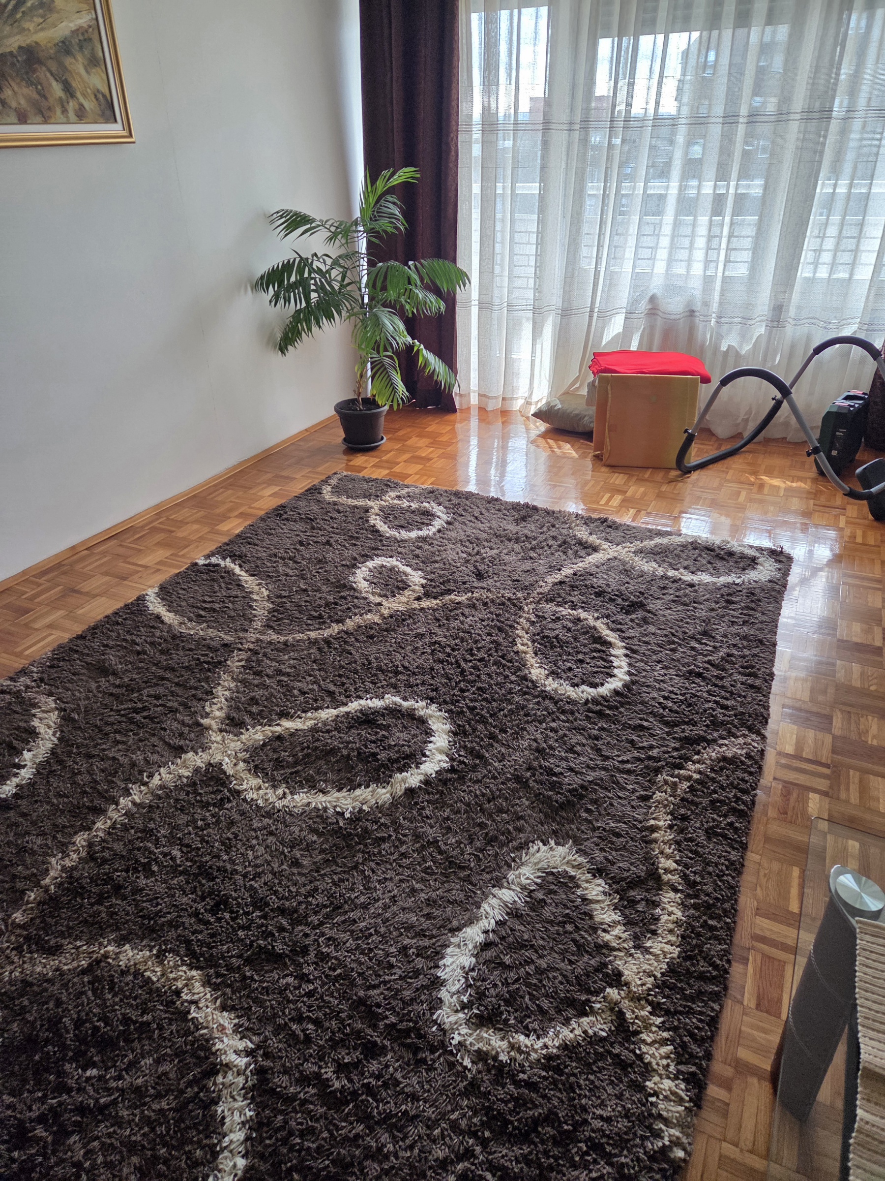 Tepih Čupavi 290 x 200