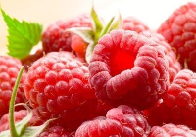 maline-2023