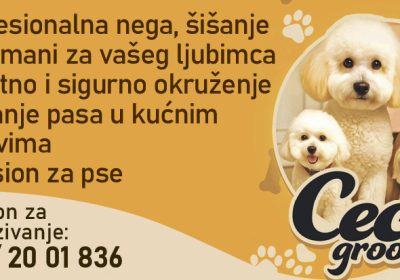 reklama-zadnja-2K-1396