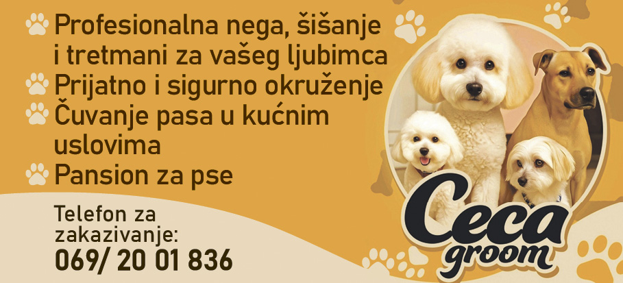 Čuvanje i nega pasa- Ceca groom