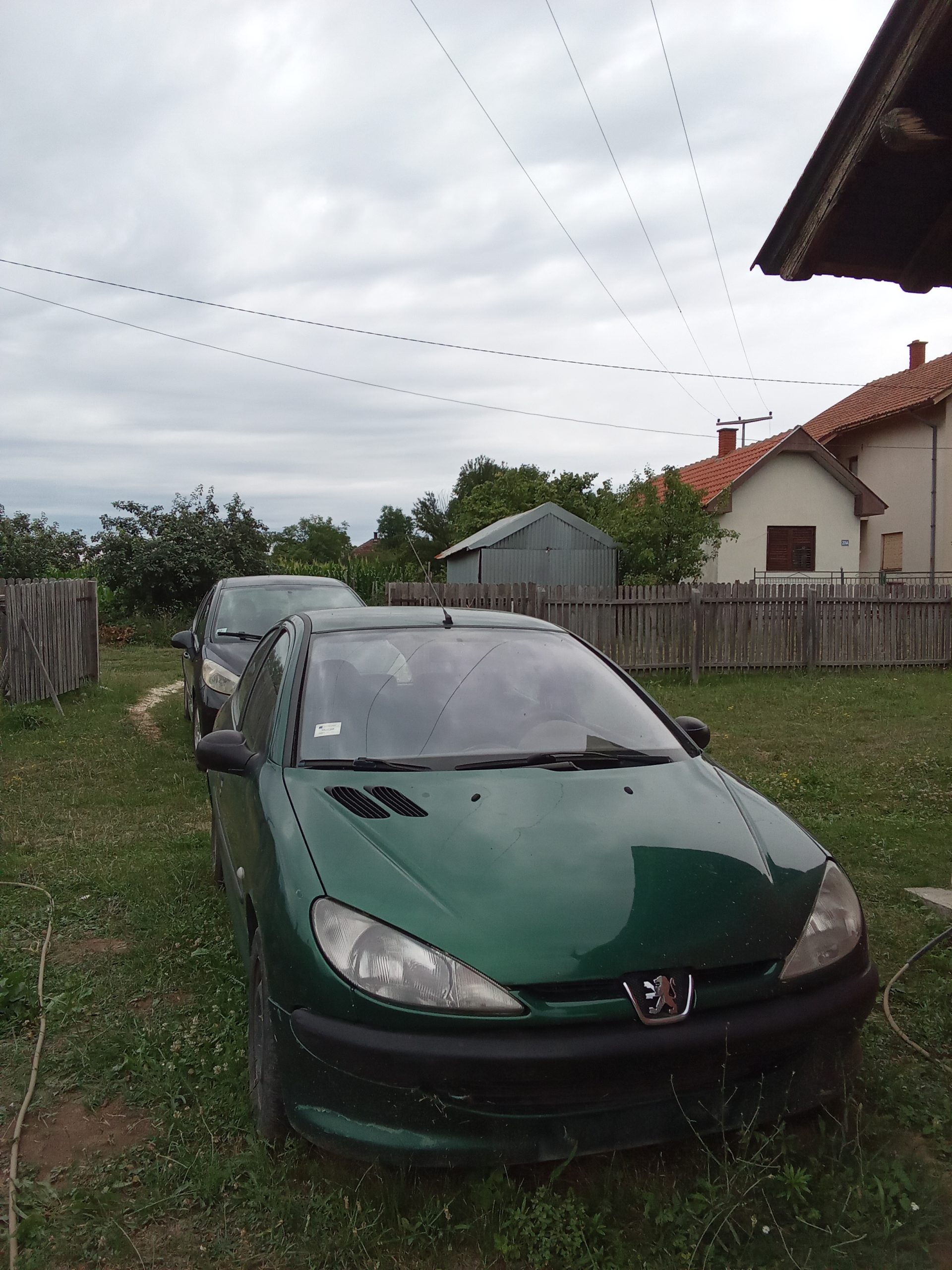 Pezo 206