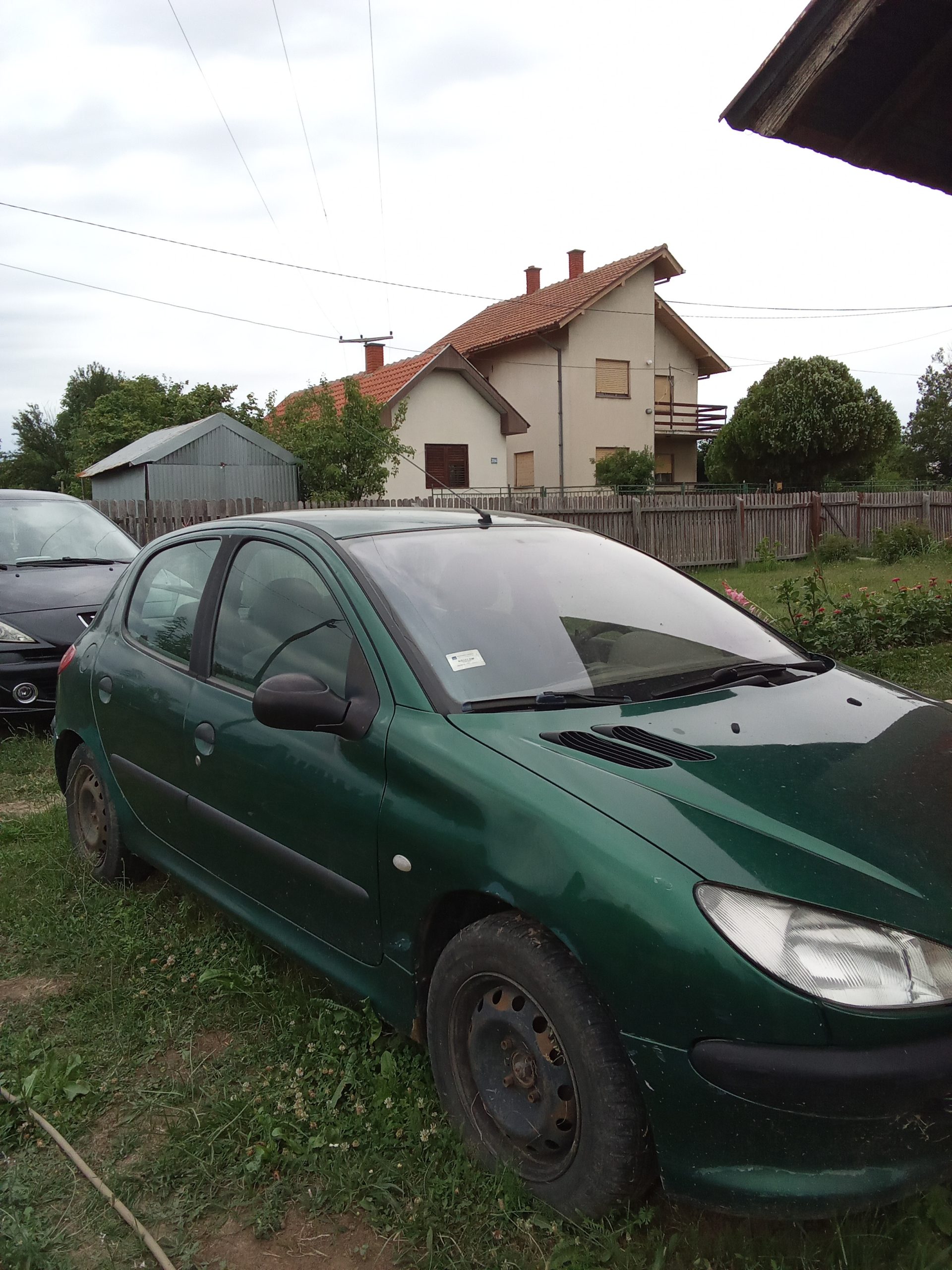 Pezo 206
