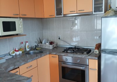 slika-1