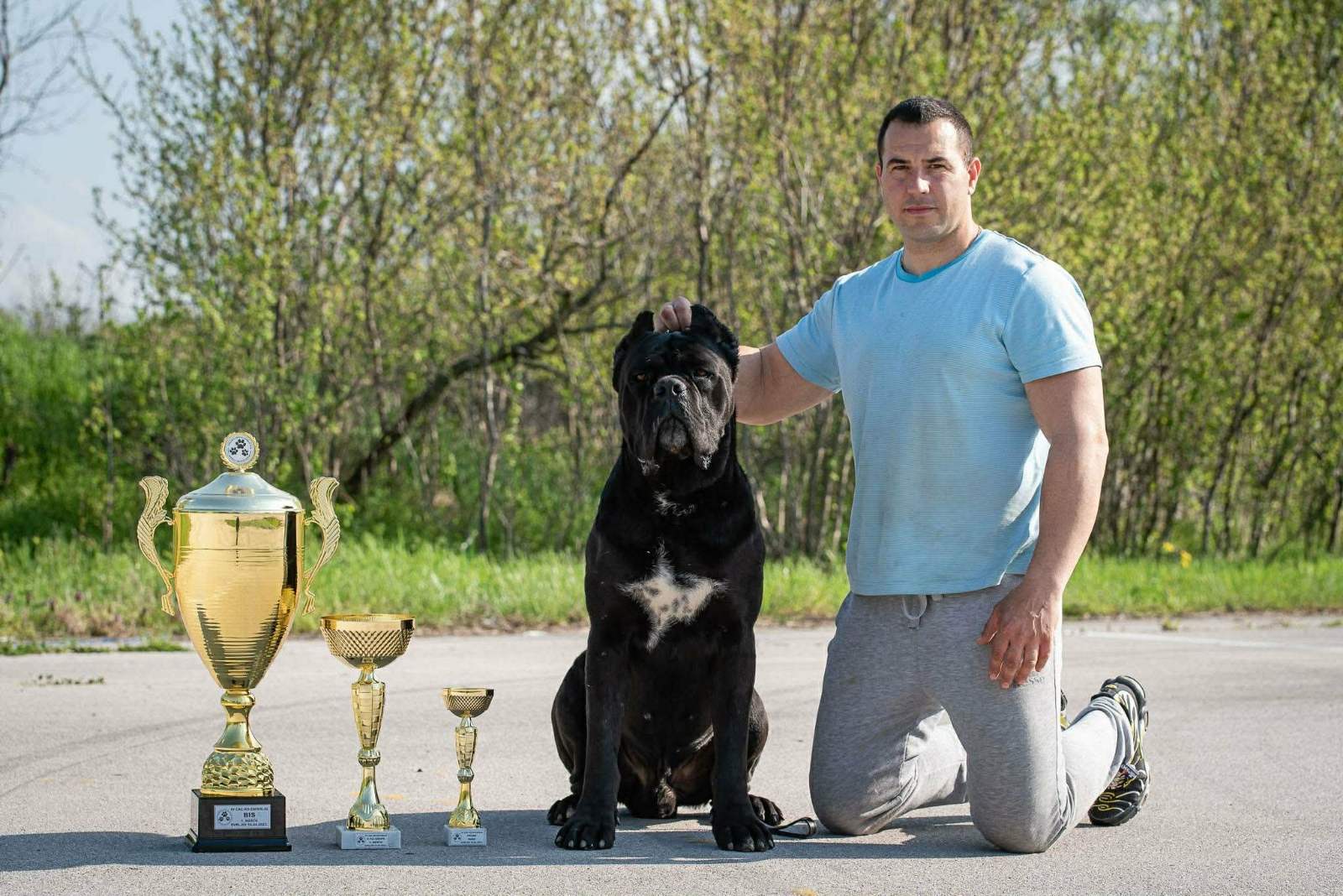 CANE CORSO prelepi štenci