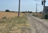 Placevi u Bečmenu u ulici Đure Jakšića