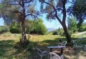Herceg Novi, građevinski placevi na 1.7 km od centra