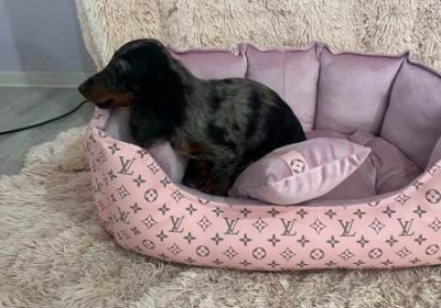 1dorde
