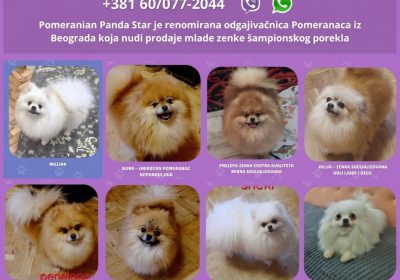 viber_image_2026-09-29_14-16-39-492